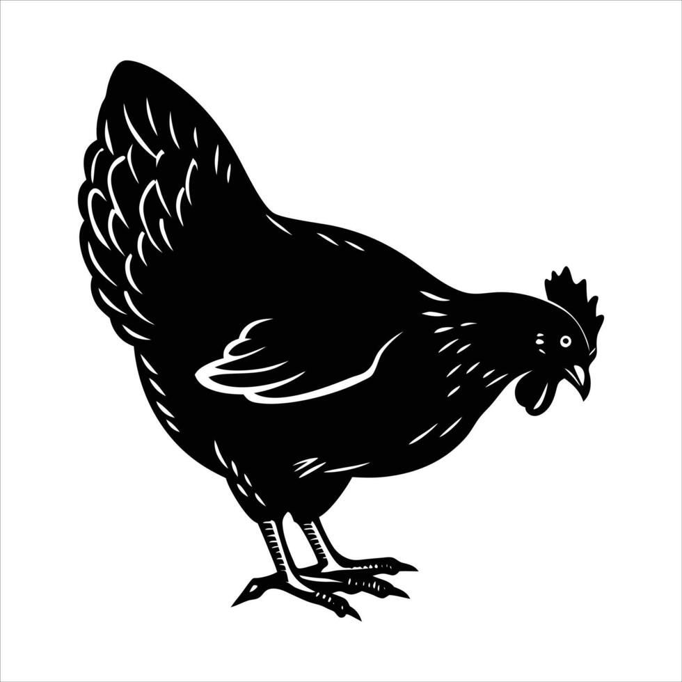 Chicken pecking how to vector