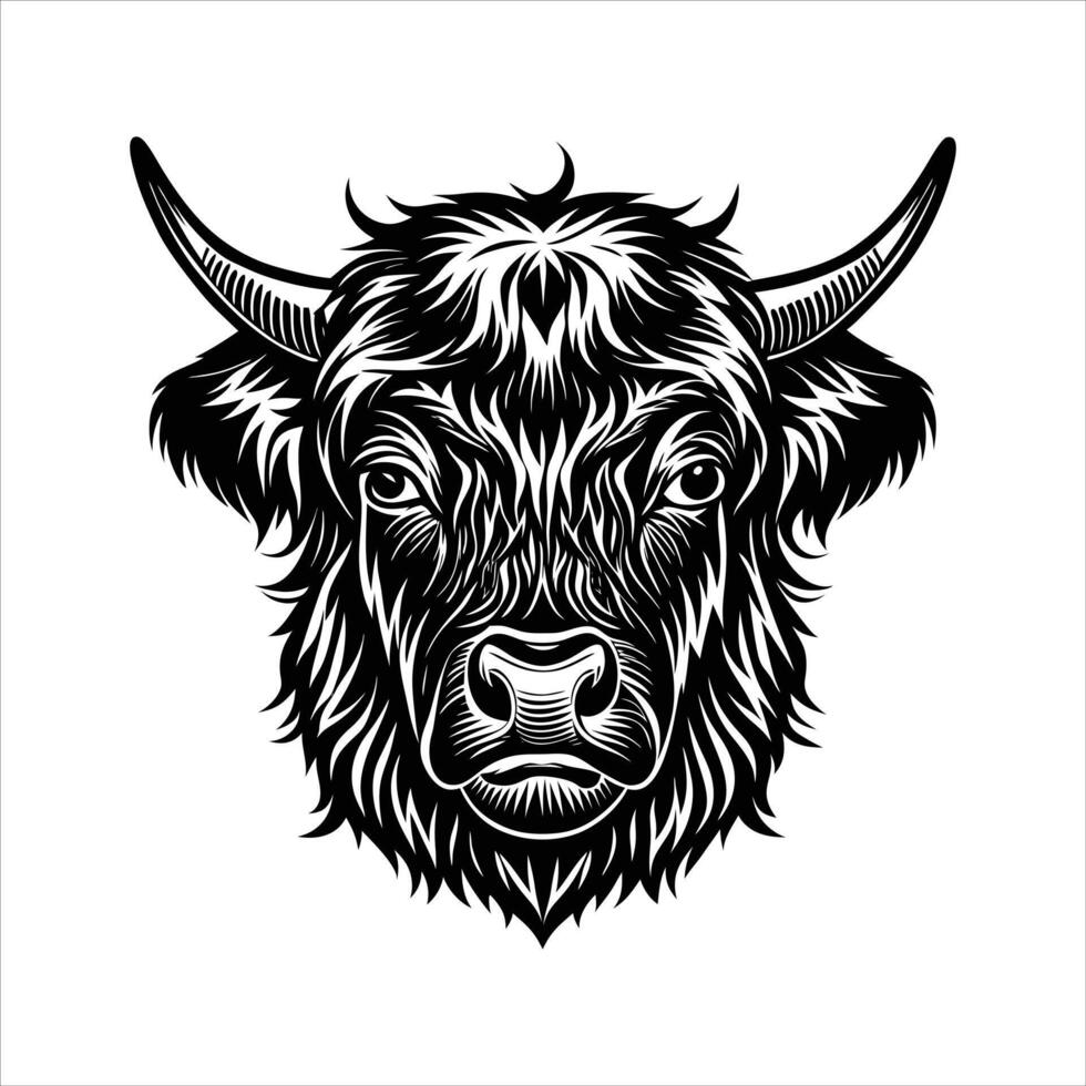 Black Angus Images over vector