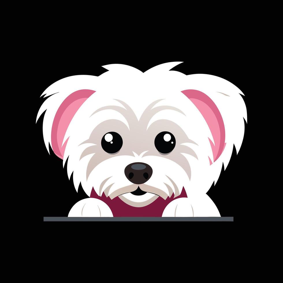 Cute Maltese Peeking Face Black and White vector