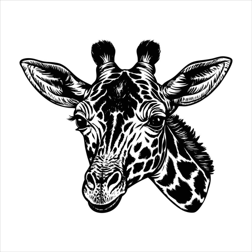 Portrait Silhouette of Large giraffe Face Stock . vector