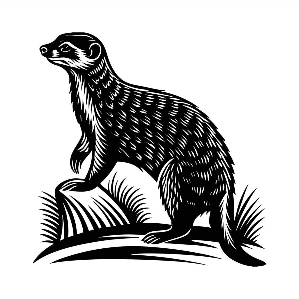 Meerkat Paintings for Sale vector