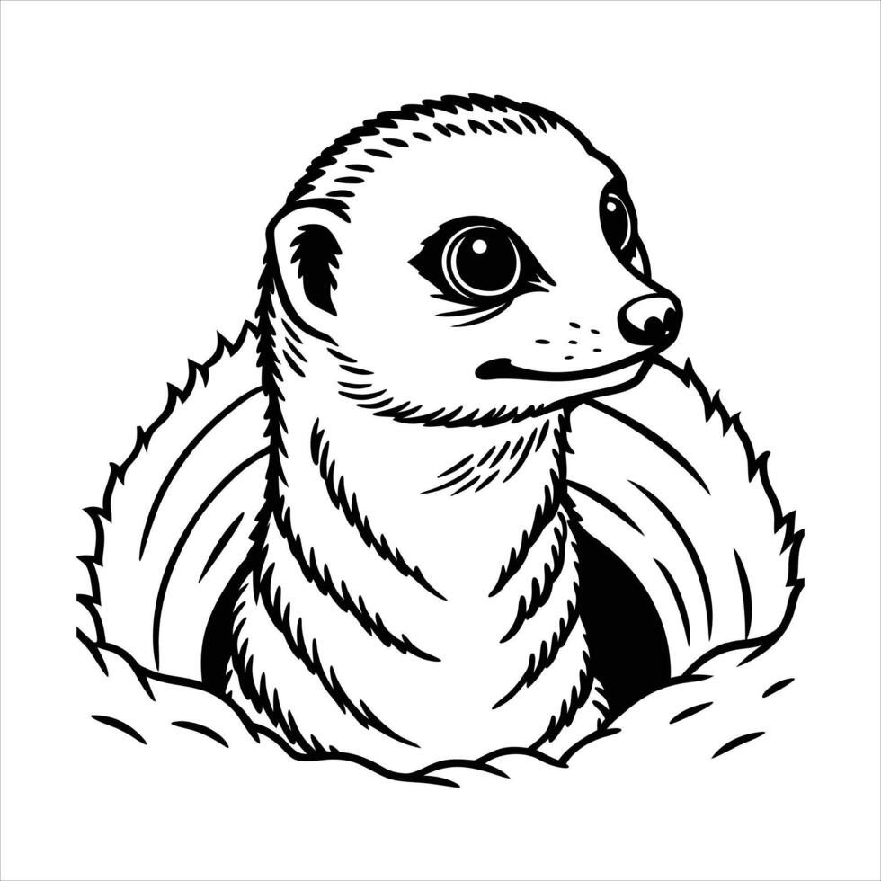 Meerkat Burrowing Images vector