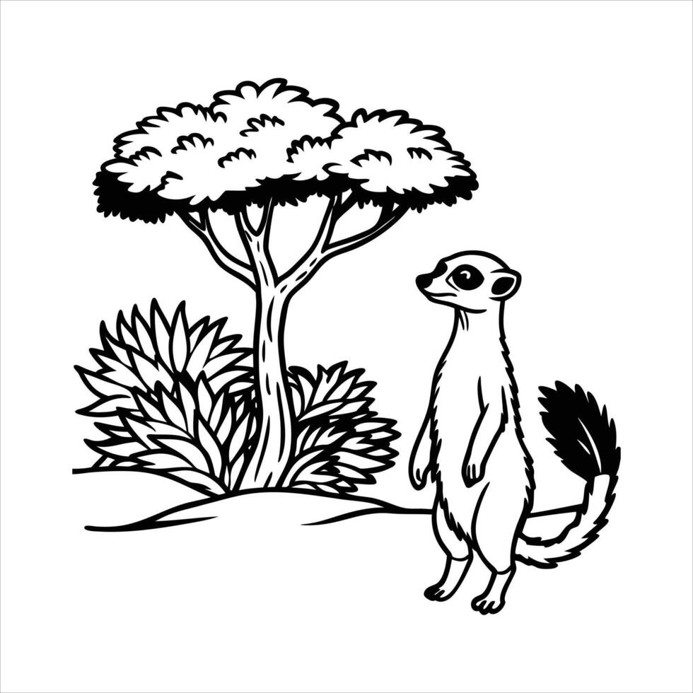 Meerkat Standing Vectors