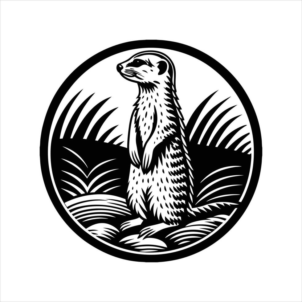 Meerkats Standing Images vector