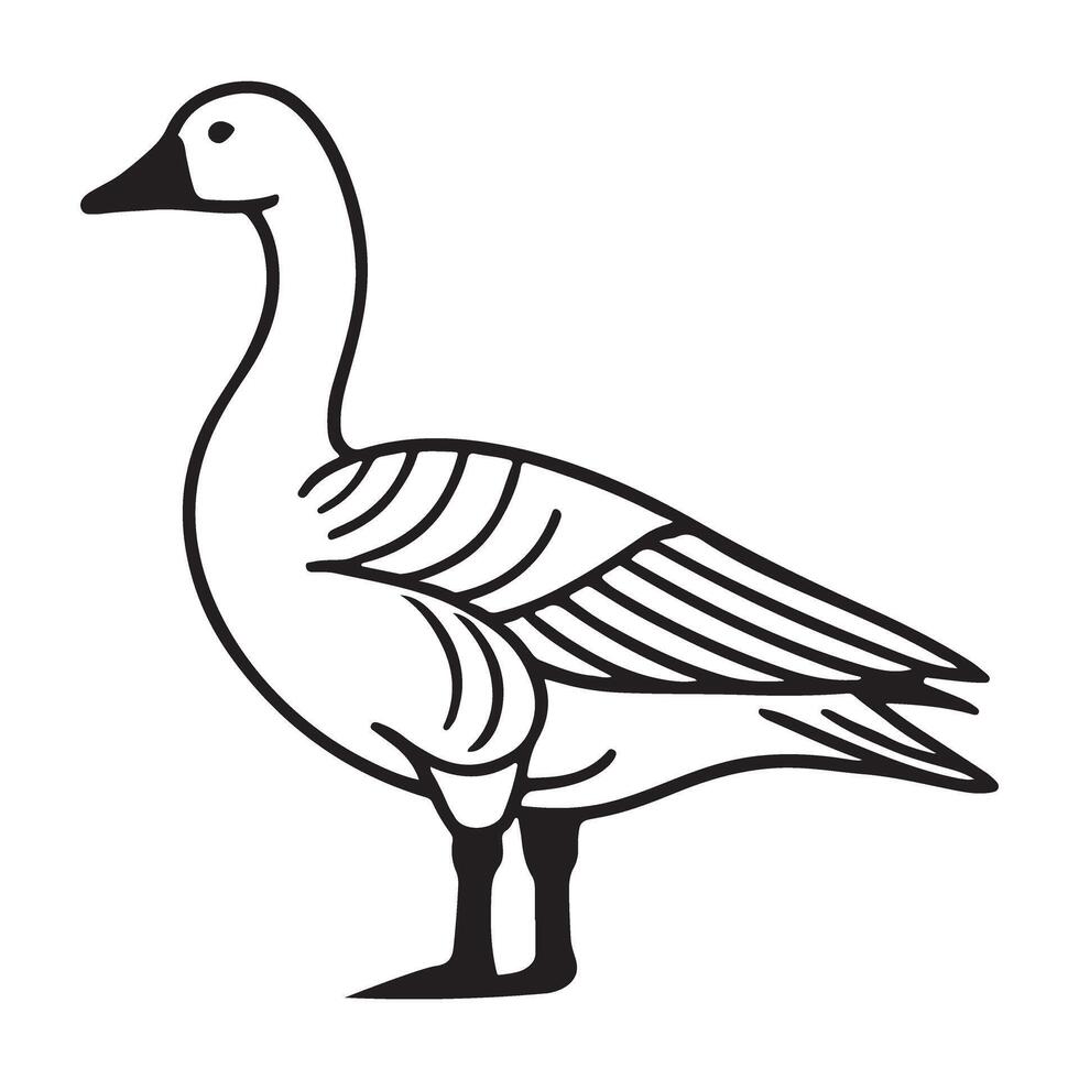 Illustration of a Snow Goose Bird vector