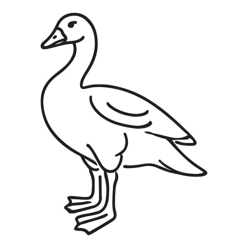 Simple Domestic Goose Line Art Illustration vector