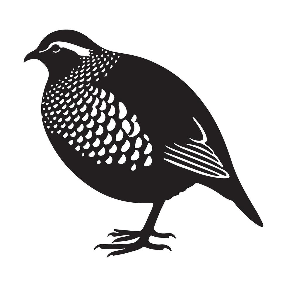Elegant Silhouette Illustration of a Scaly Quail Bird vector
