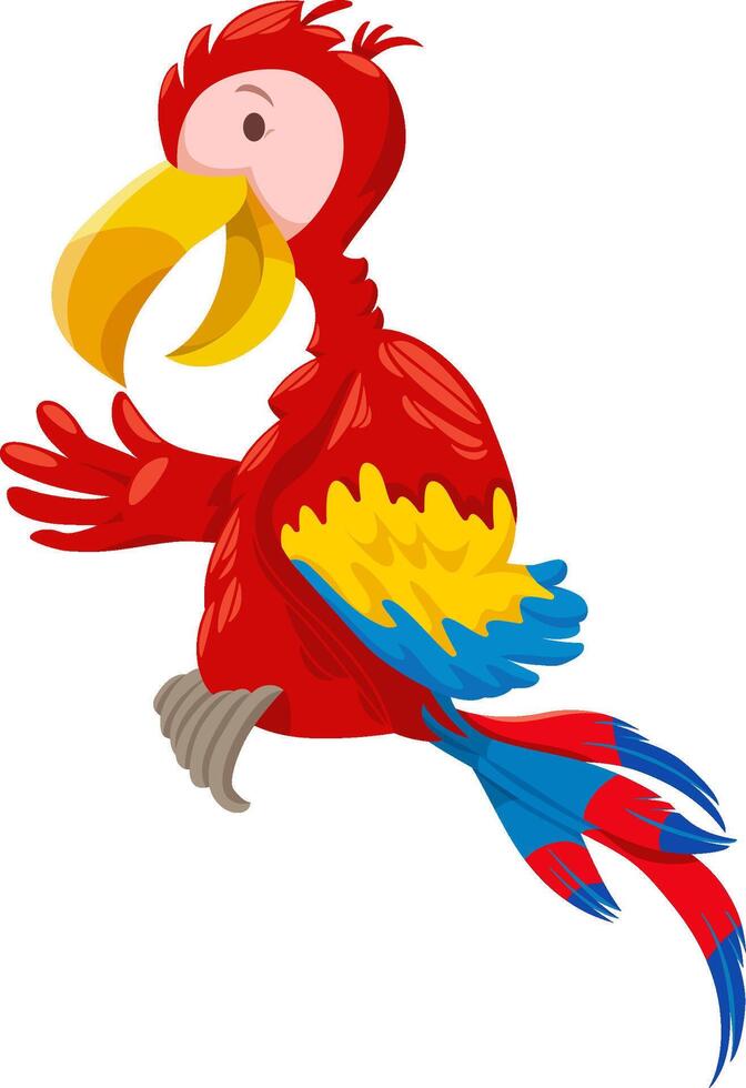 cartoon colorful macaw parrot bird animal character vector