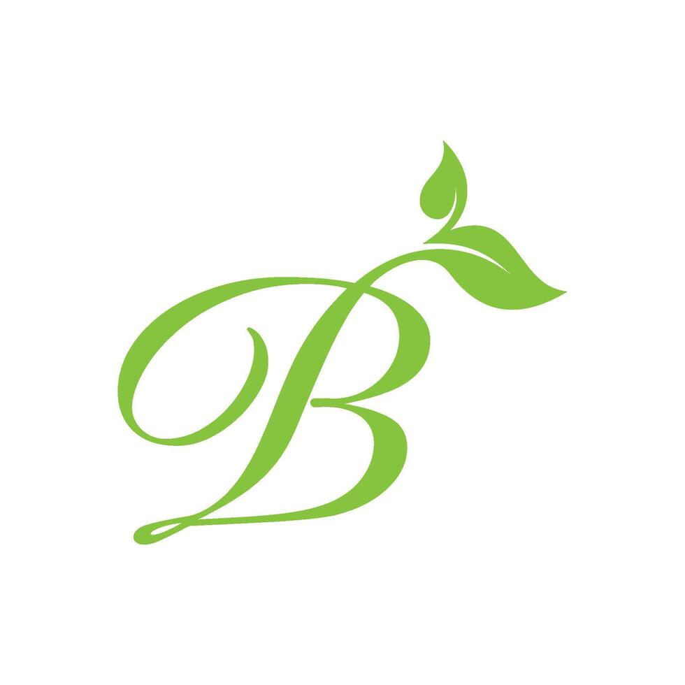 Letter B Logo With ornament Leaf vector