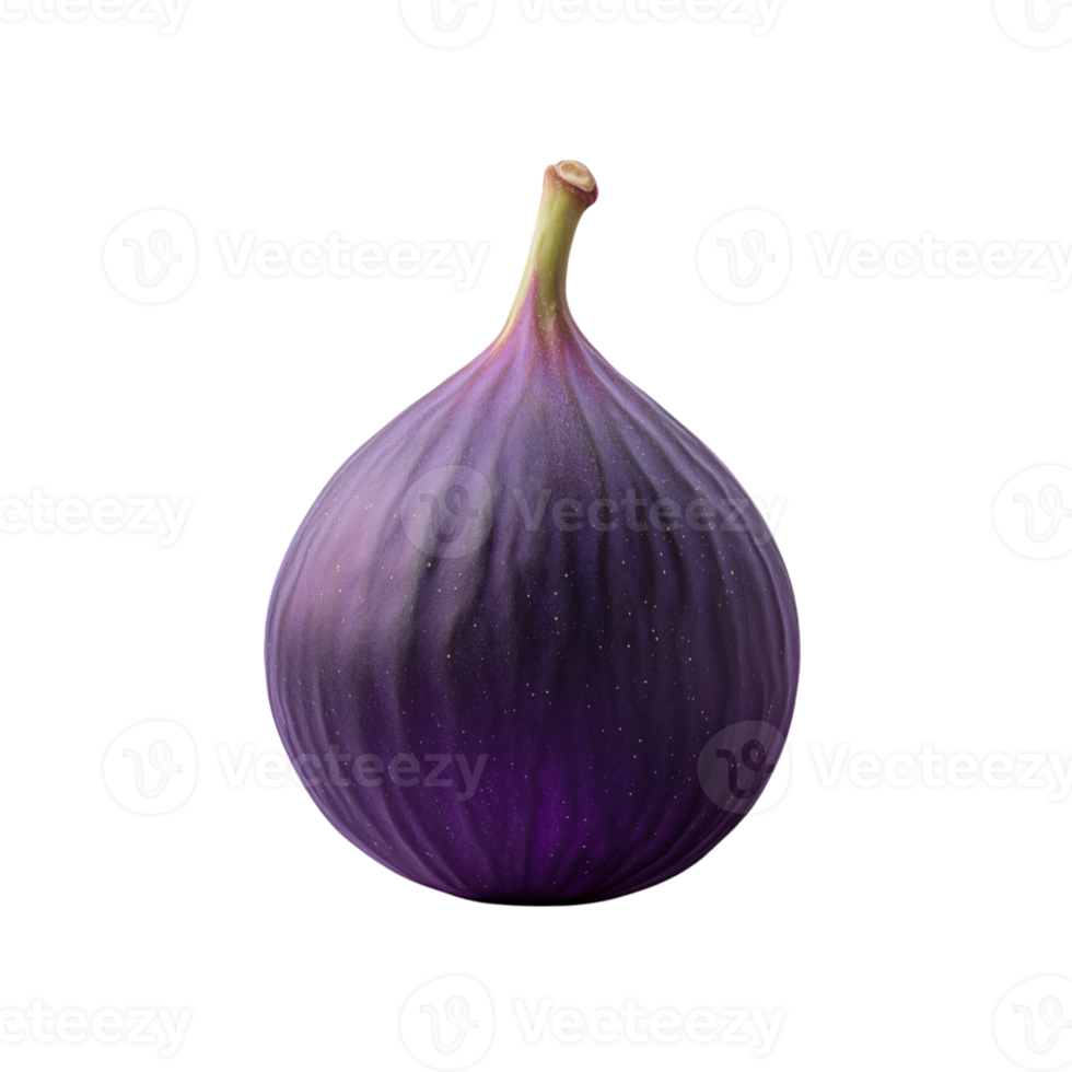 Realistic depiction of a vibrant fig isolated with a transparent background showcasing its natural beauty and unique texture png
