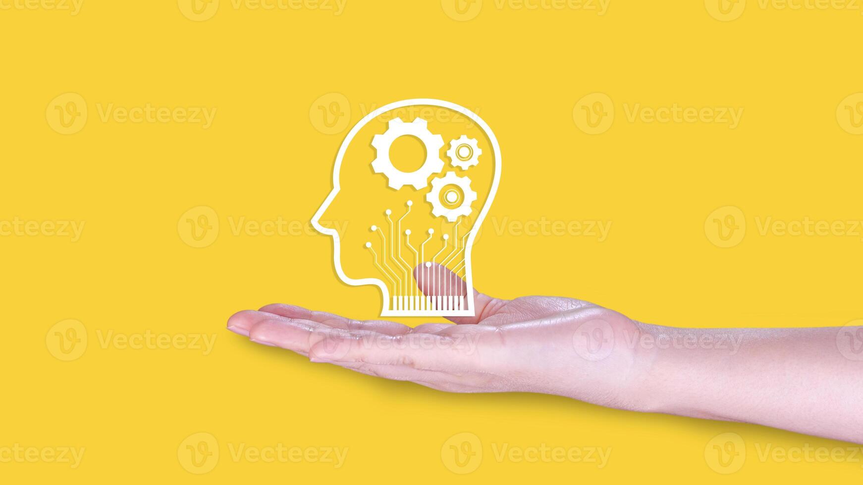 Power soft skills, multi skills responsibility HR human resources concept, personal attribute development, Digital Personality, problem solving, adaptability, collaboration, leadership photo