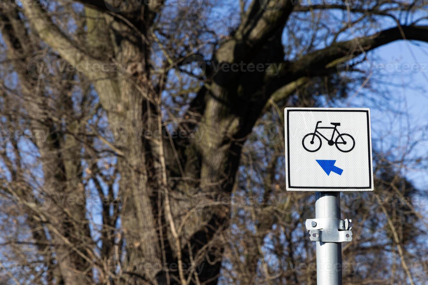 Bicycle path. Sign with an arrow indicating the movement of bicycles. Poland photo