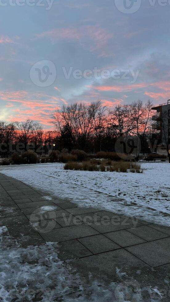 Colorful winter sunset over the Oder River. photo