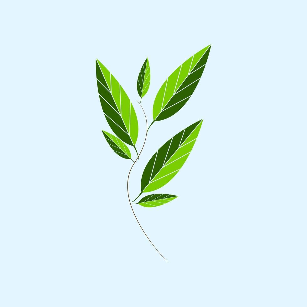 premium icon leaf symbol vector