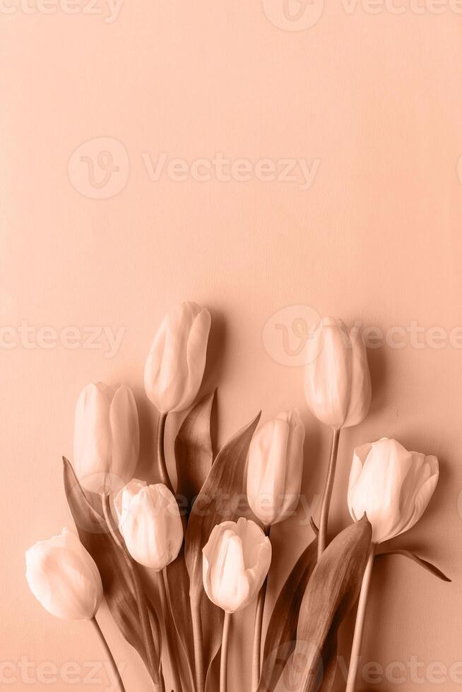 Mocha Mousse - color of the year 2025. Top view of beautiful tulips on brown background photo