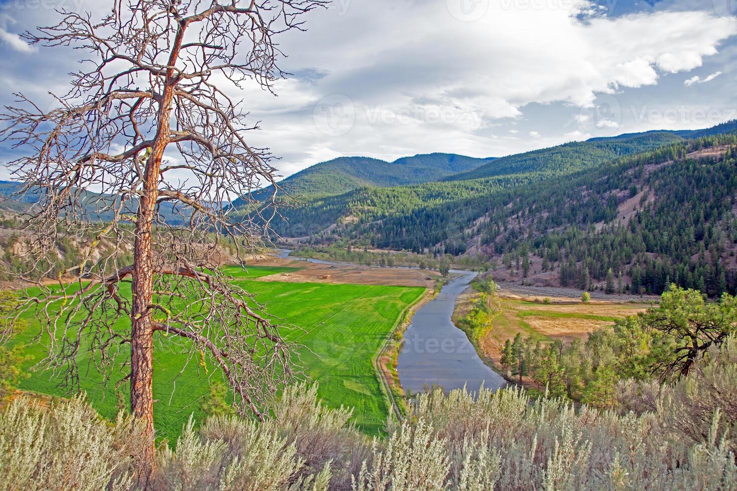 River with surrounding green fields and mountains in British Columbia Canada photo
