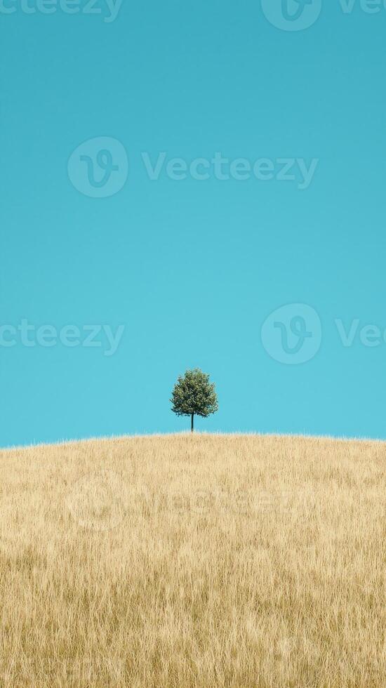 A solitary tree stands on a golden field beneath a clear blue sky, symbolizing tranquility. photo