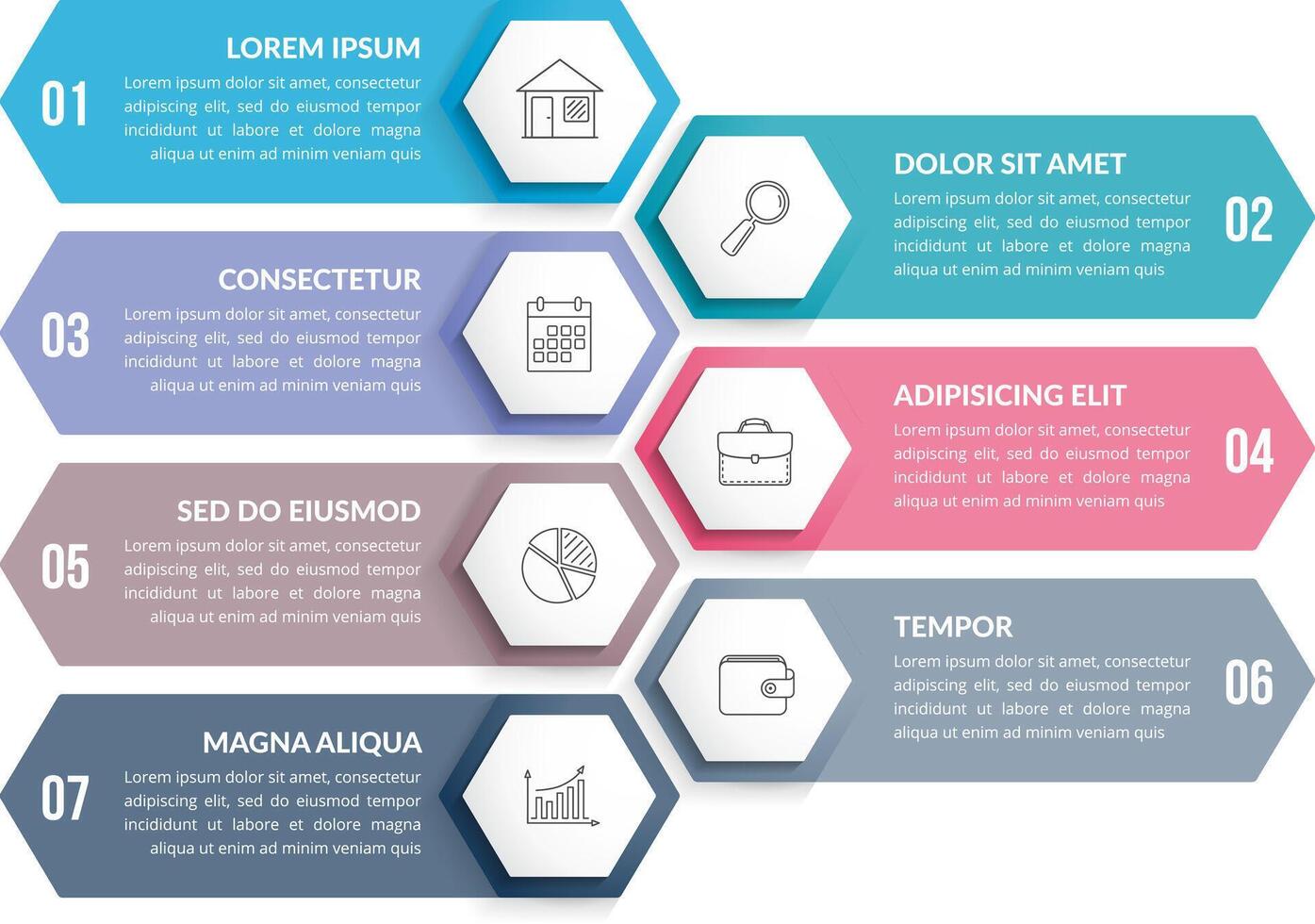 Infographic template with 7 color hexagons vector