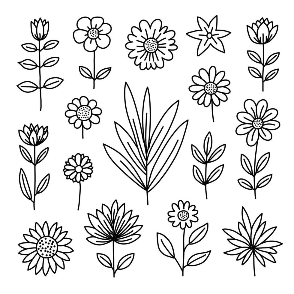 Collection of Different Flowers and Leaves Hand Drawn Doodle vector
