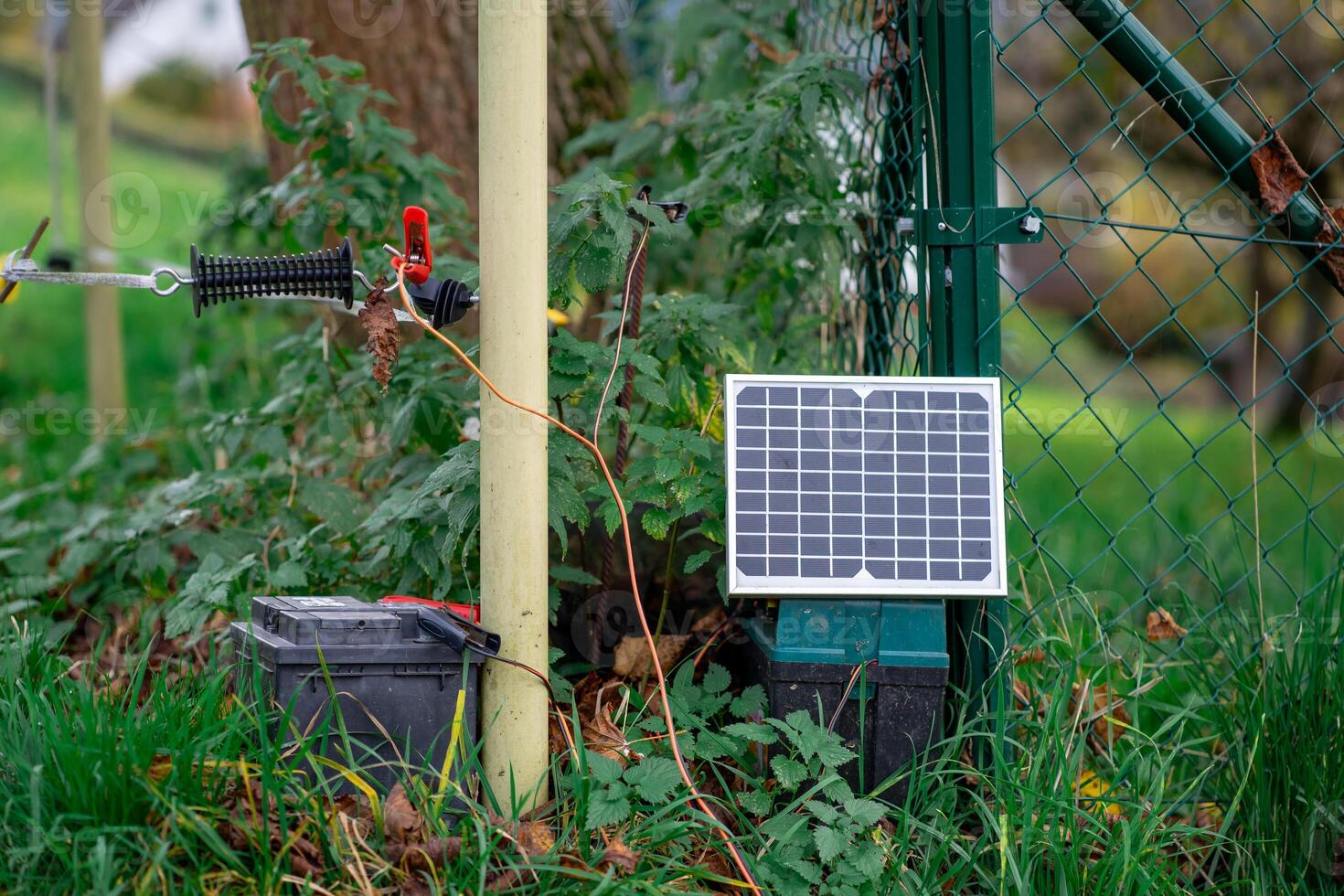 Small Solar farm, View of a small solar panel connected to a fence on a farm photo