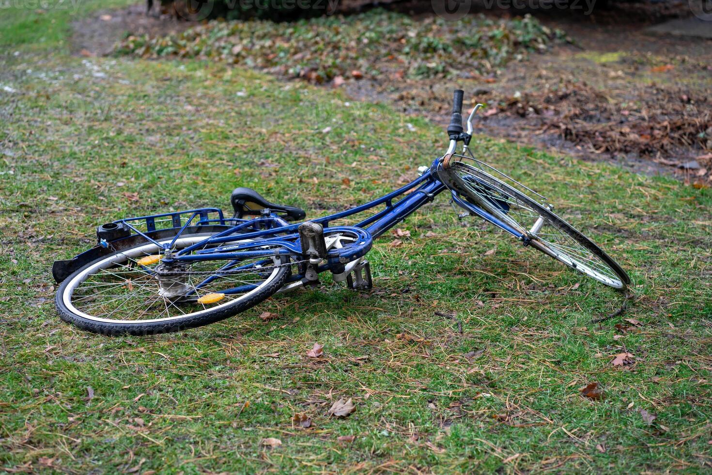 View of a blue broken bicycle lying on green grass photo