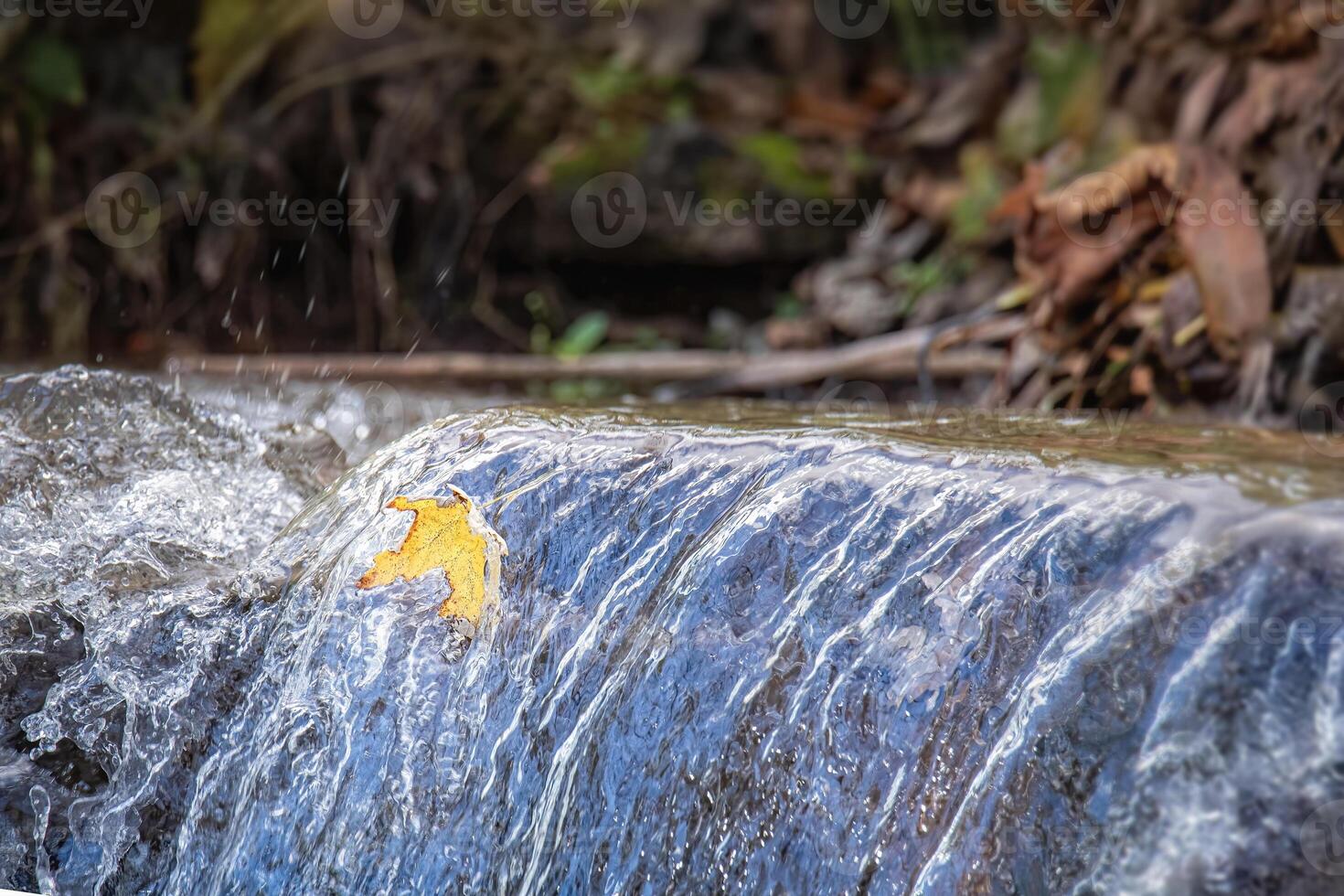 Fallen Leaf Flows Over a Wartefall photo