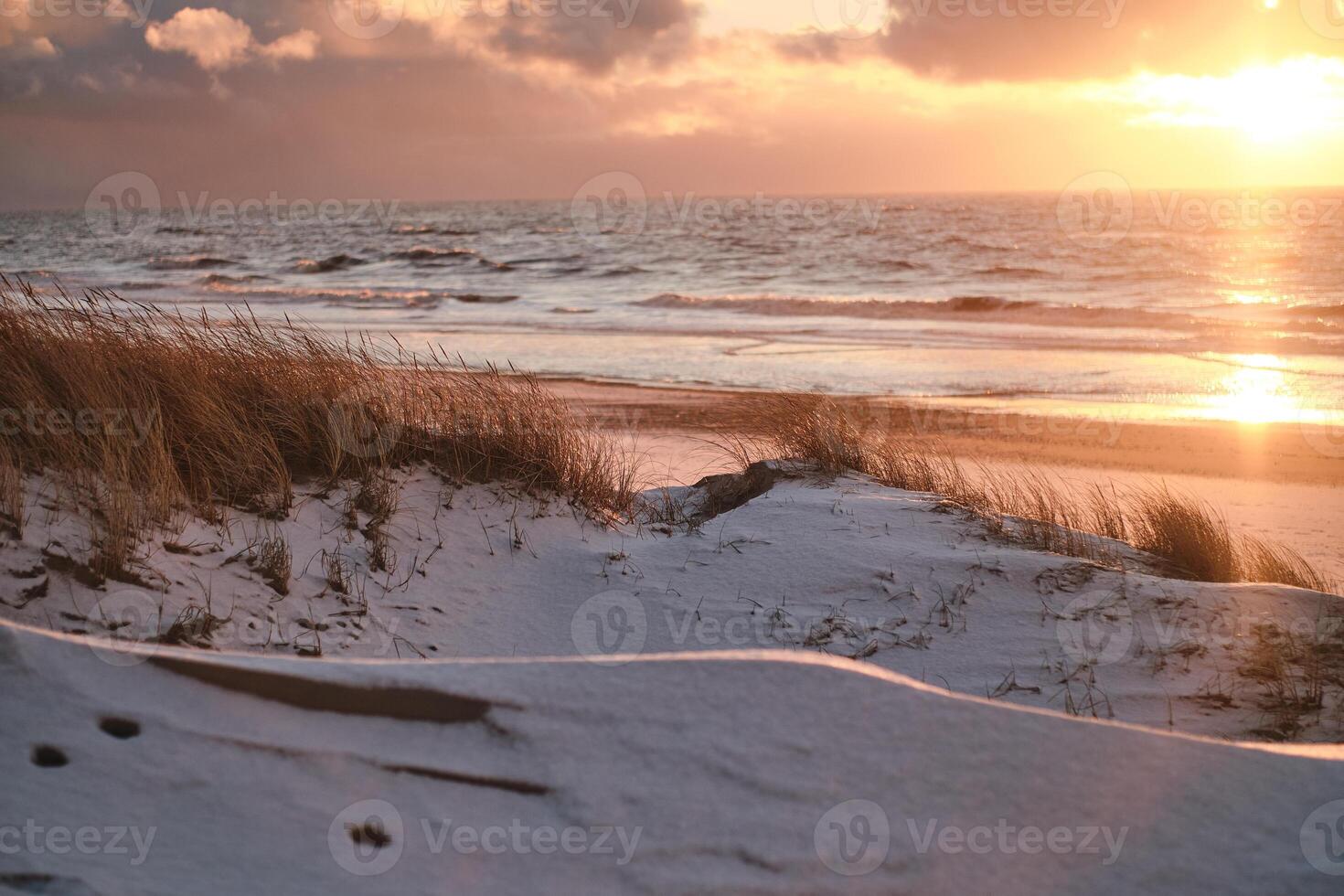 Snow covered dunes at danish coast photo