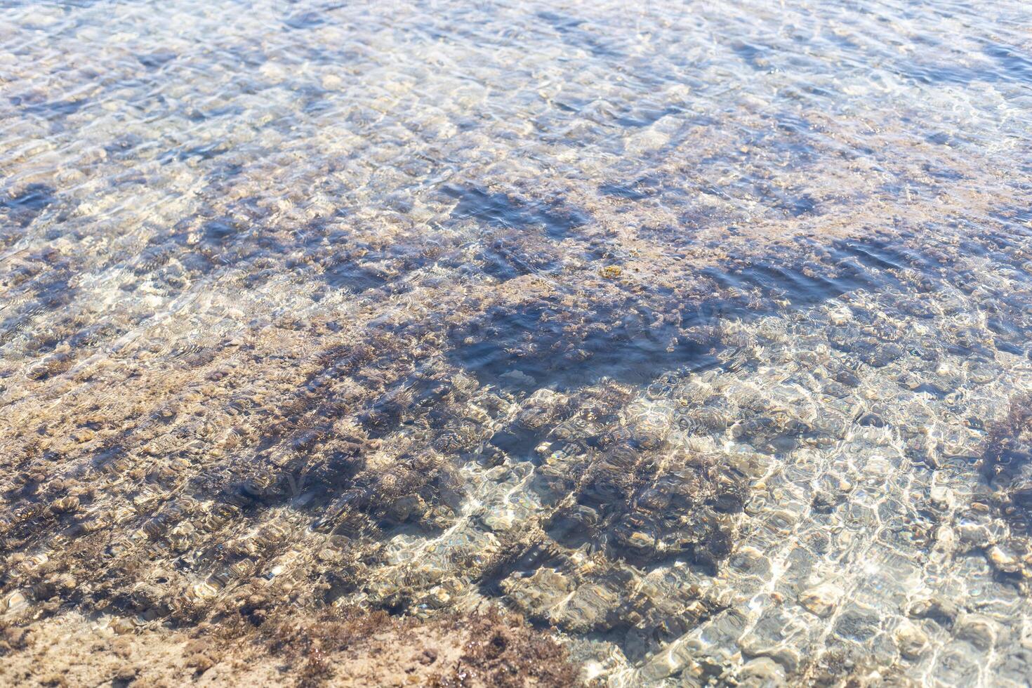 Dead coral on the beach or seashore in grey and brown color. Texture and pattern tropical beach background photo