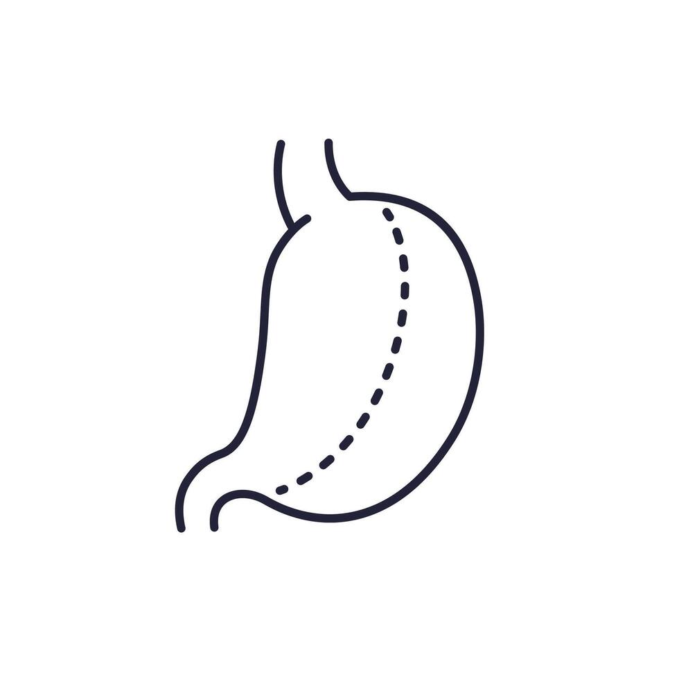 gastric sleeve, gastrectomy line icon vector