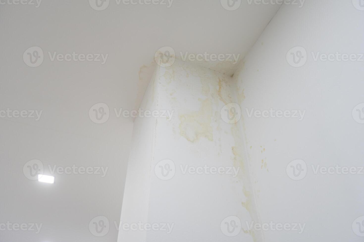 Water flowing from the ceiling.Water marks flow from the edge of the ceiling to the wall. Rainy days, dirty walls, dirty photo