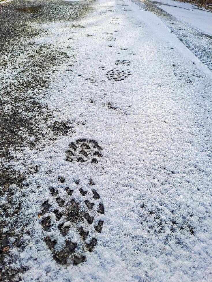 Footprints in fresh snow. Natural background with snow texture., copyspace. photo