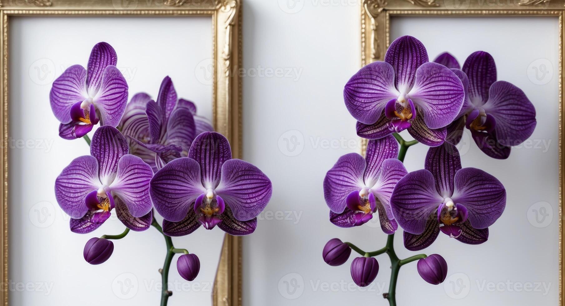 Intricate Clusters of Deep Purple Orchids Placed in the Top Left and Bottom Right Corners of a Golden Frame photo