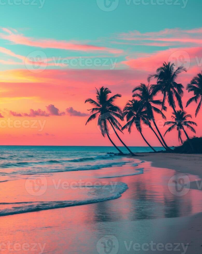 Tropical Beach Sunset Silhouette Palms Ocean SkyTropical Beach Sunset Silhouette Palms Ocean Sky. photo