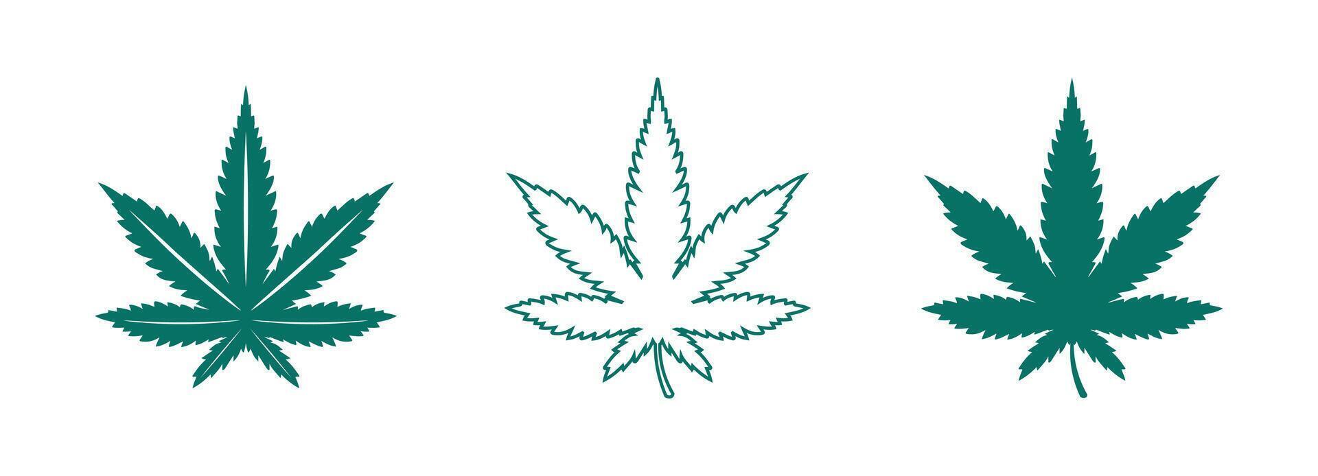 cannabis logo and marijuana leaf icon design on green and white colour vector