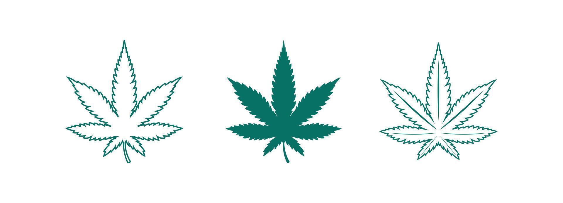 cannabis logo and marijuana leaf icon design on green colour colour vector