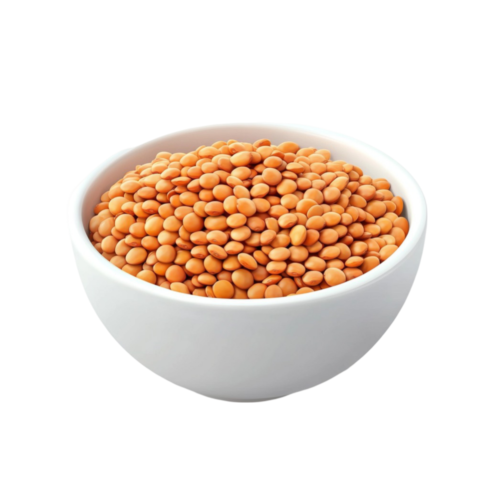 Baked Beans Bowl png