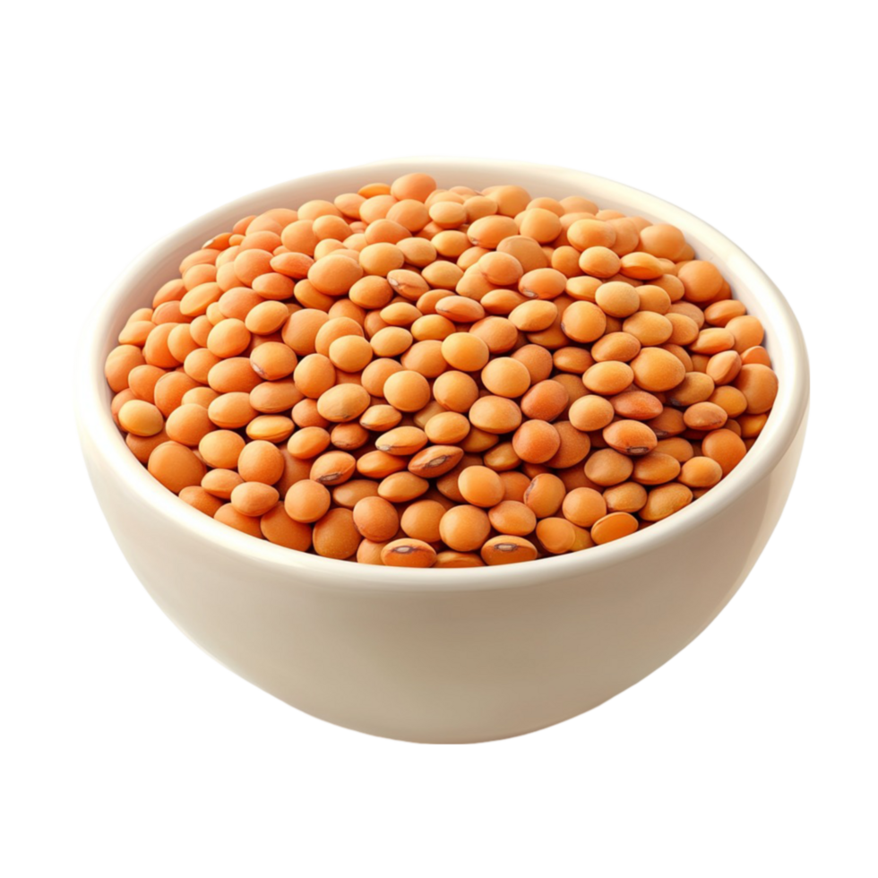 Cooked Lentils Bowl png
