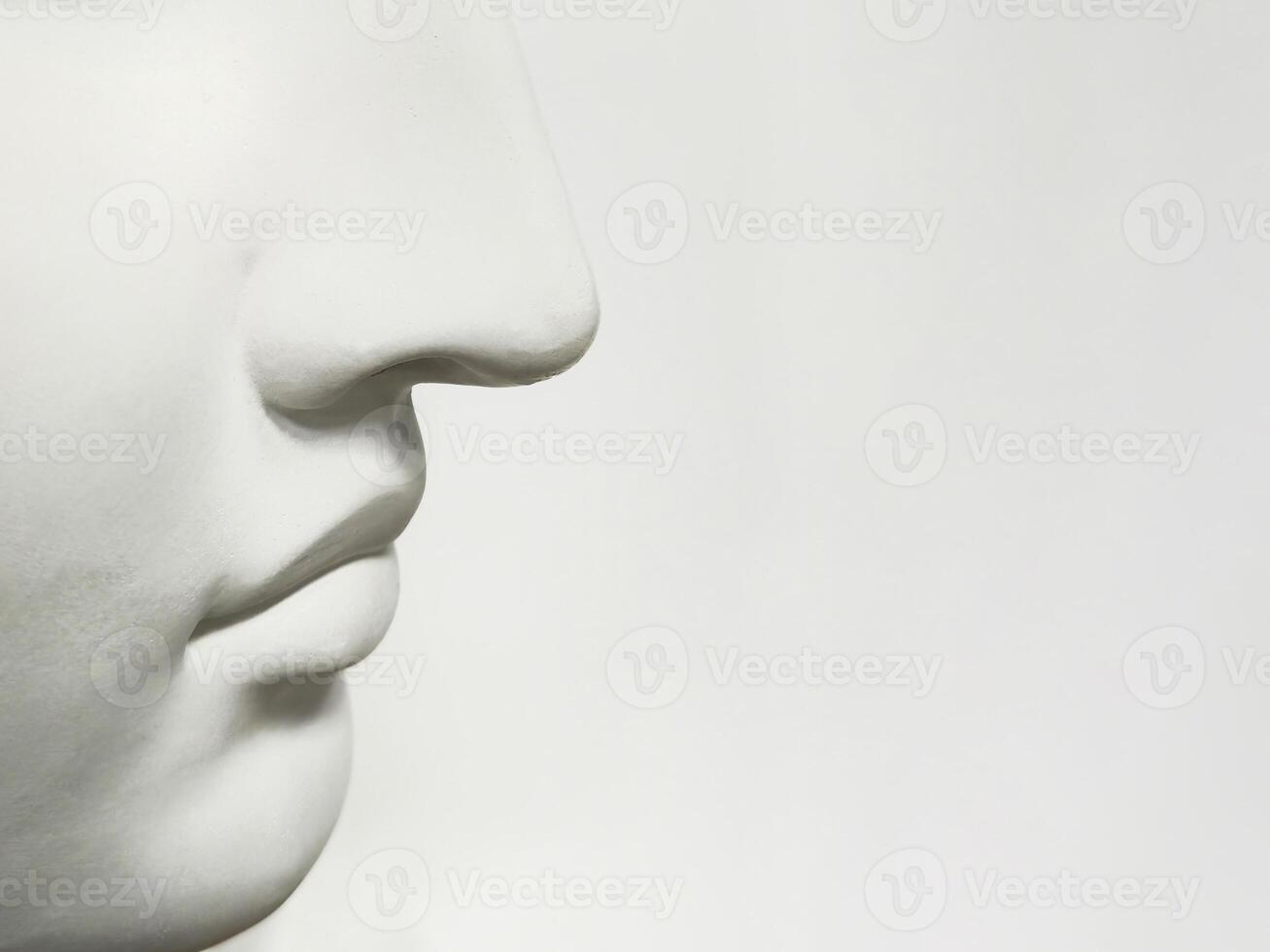 Nose and mouth on a light background, side view, copy space. photo