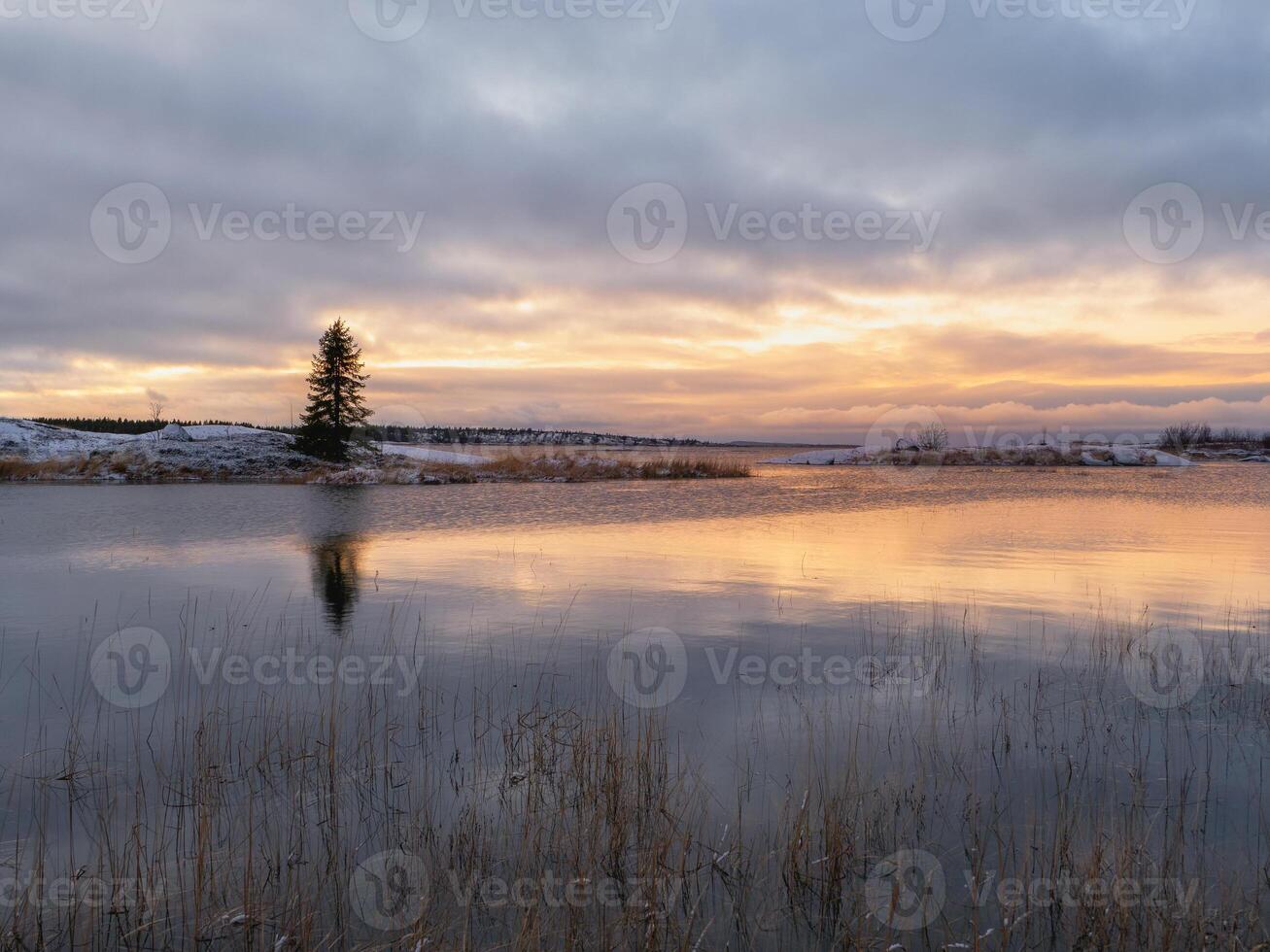 A magical purple sunset with a lonely tree on an island with a reflection in the water. photo