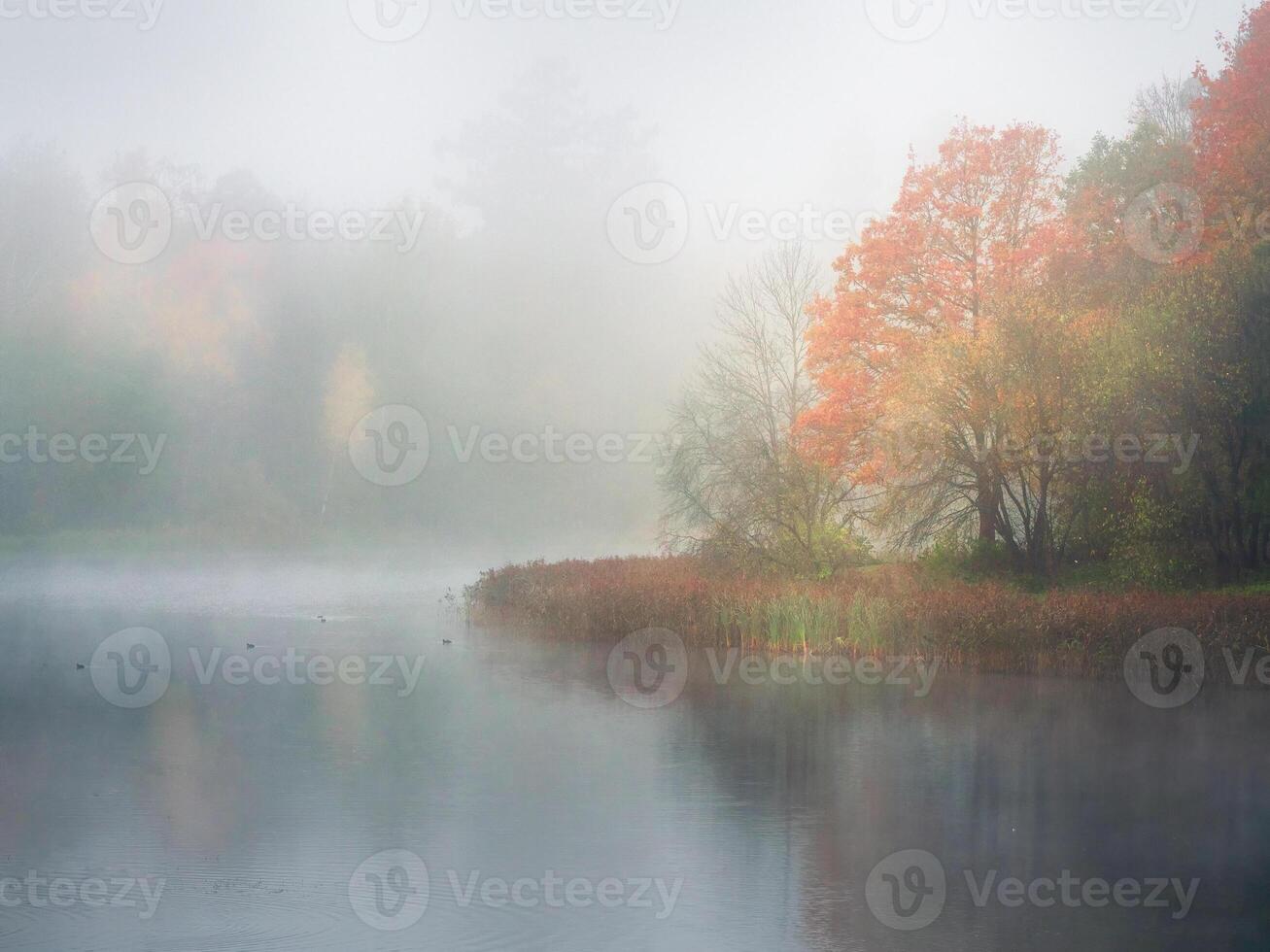 Mystical morning autumn landscape with fog over the lake photo