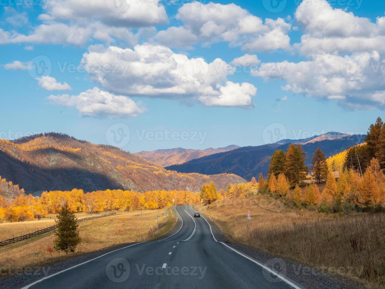 Chuisky tract in autumn. photo
