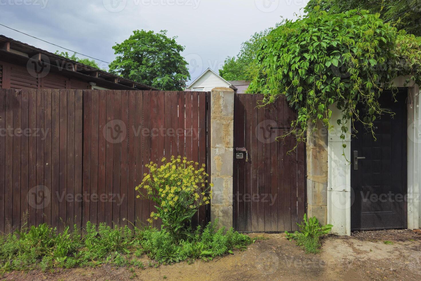 Summer bush yellow flowers and green grass on the garden gate photo