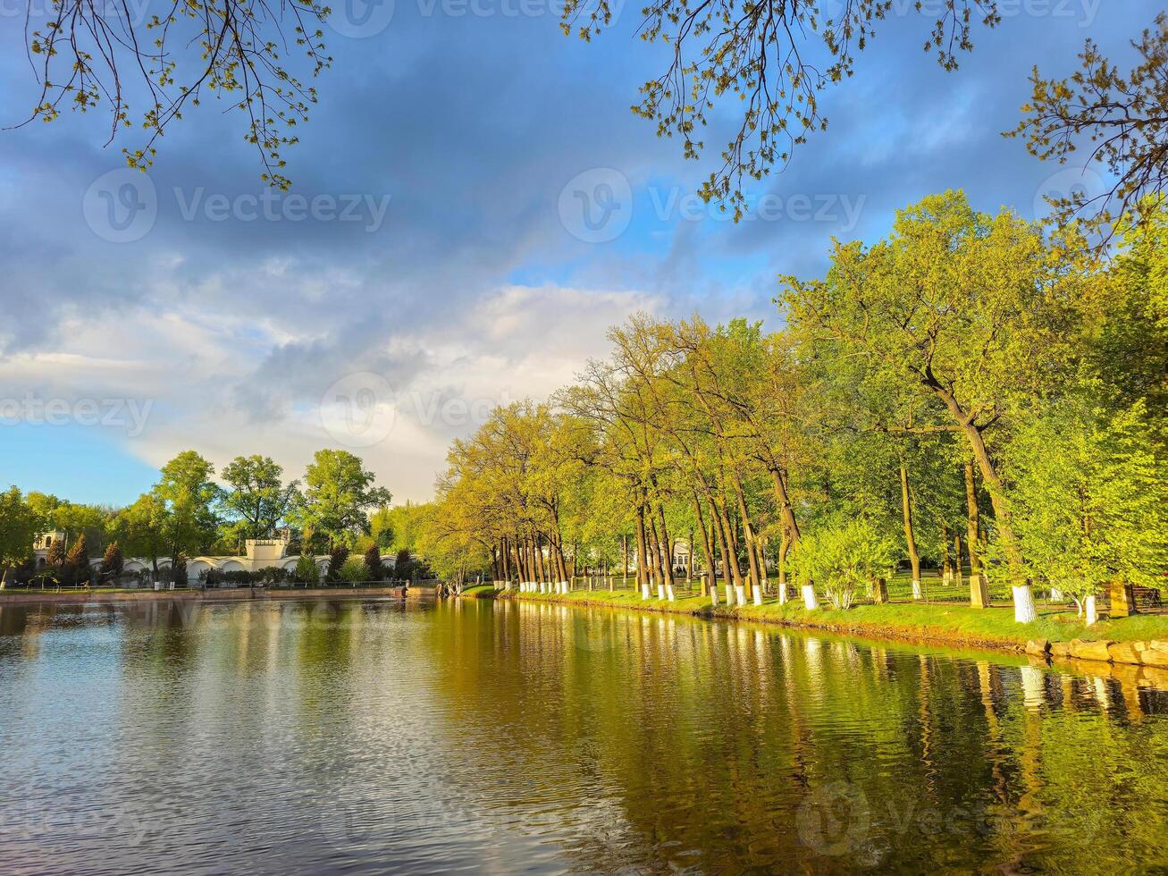 Trees reflection on the pond surface, spring park, lake, cloudy sky. photo