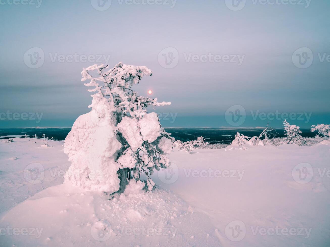 Gloomy winter forest at night. Snow-covered silhouettes of bizarre trees on a mountain slope photo