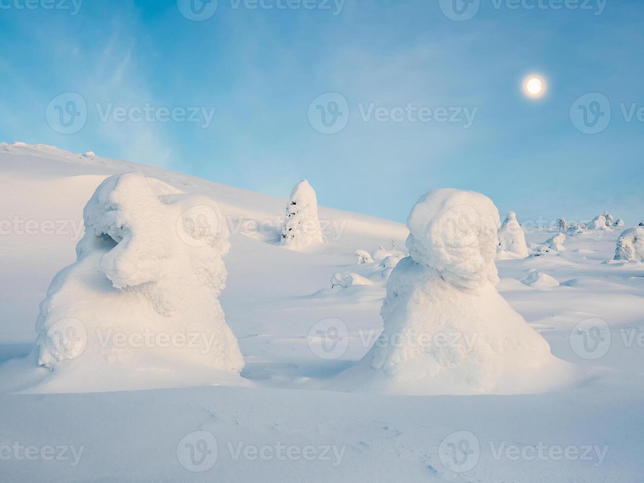 Ice nature lollipop. Winter cotton candy. Snow-covered mountain slope with fancy white trees on the night of the full moon. Amazing northern nature, winter natural background. photo