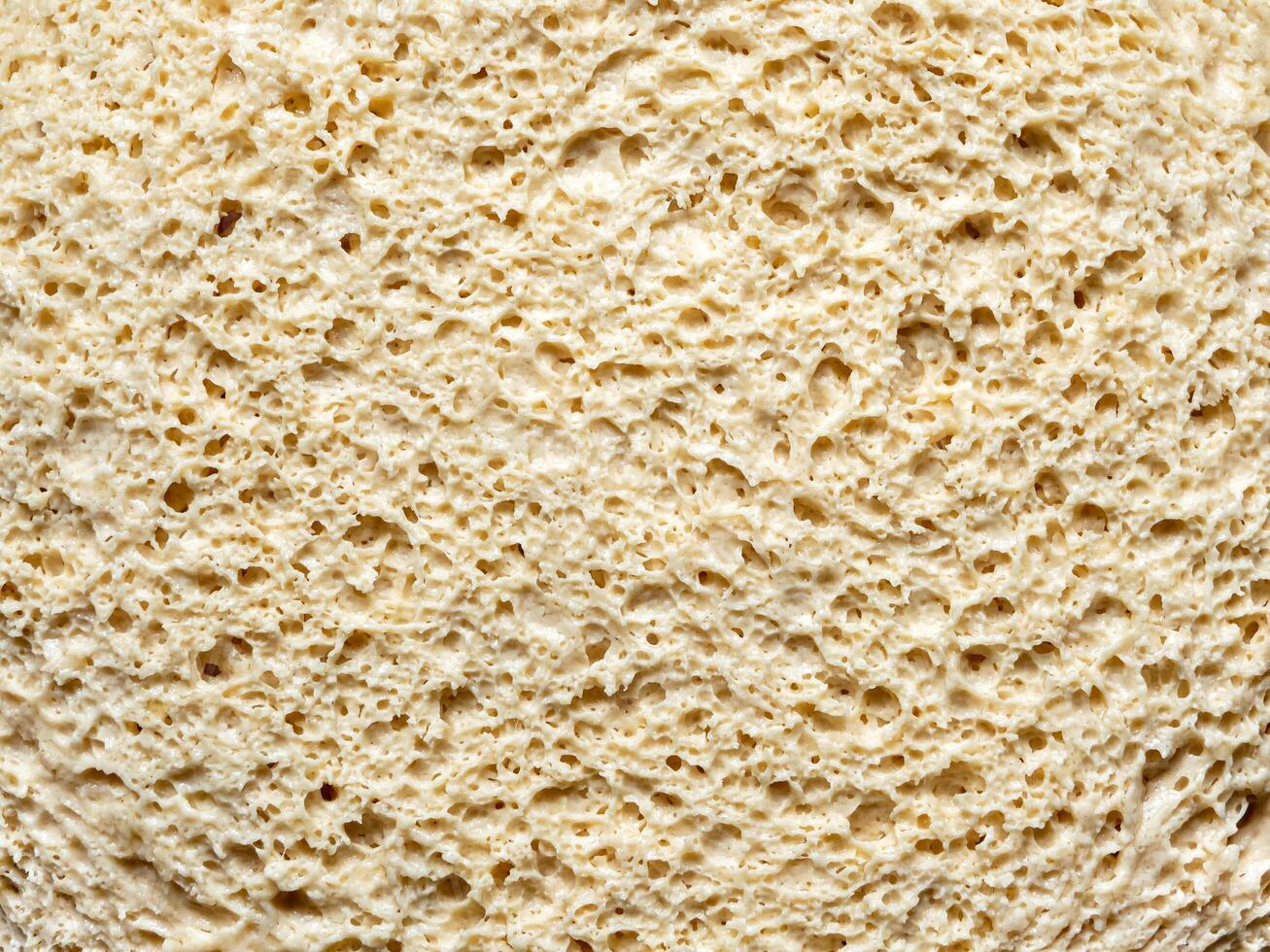 Cellular texture of yeast-free dough. White bread texture, closeup slice with macro surface details. photo