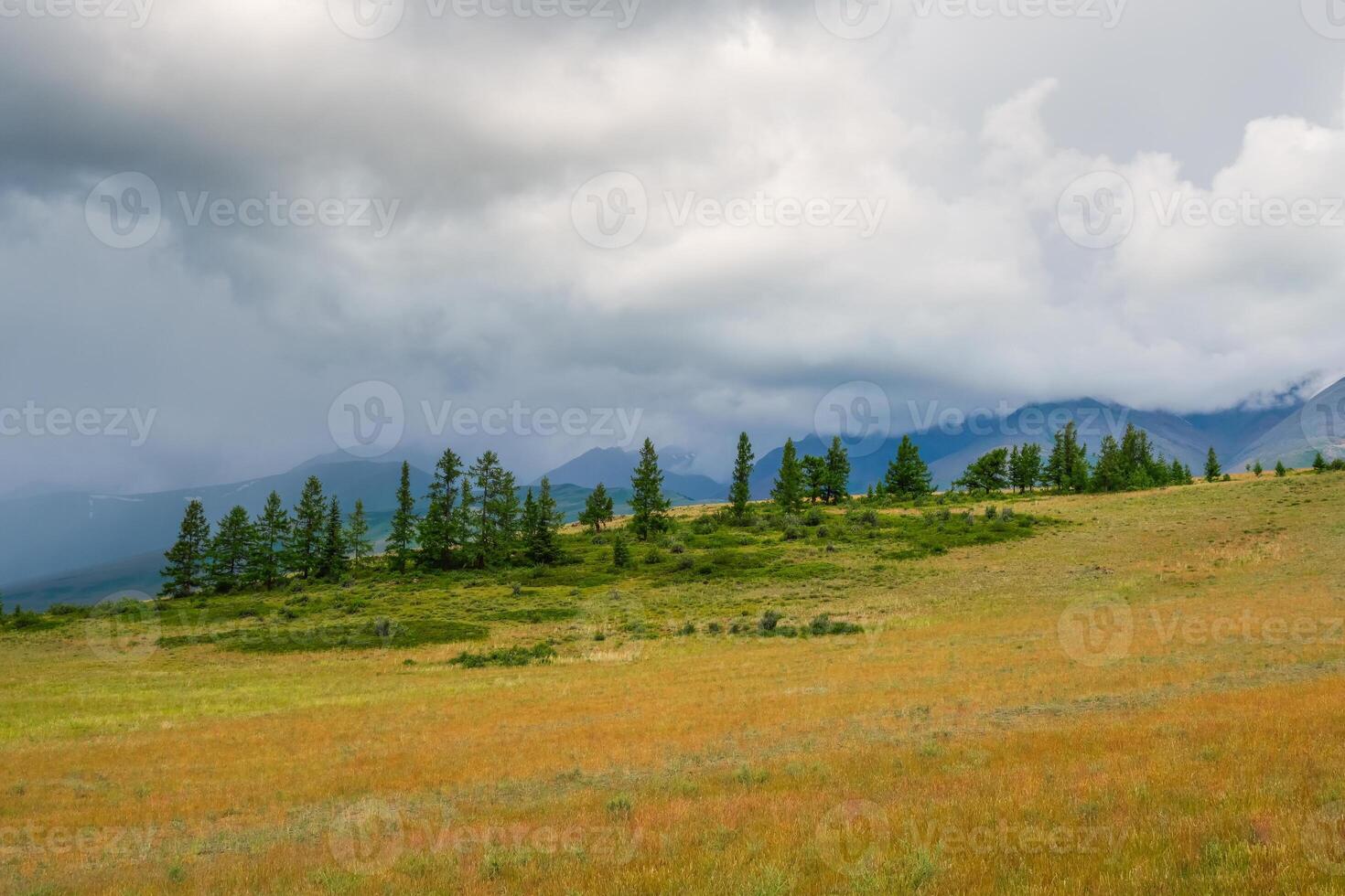 Dramatic view to cedar forest and high mountain range in sunlight photo