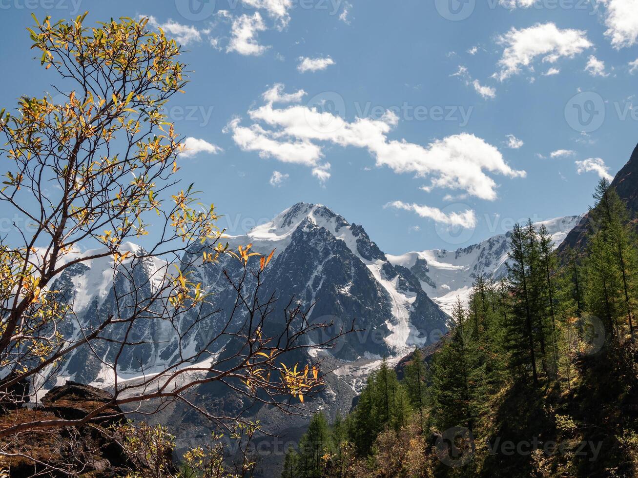 Bright autumn alpine landscape with snowy mountain peak in sunny day. Awesome landscape with rocky pinnacle with snow in sunlight. Beautiful view to snow mountain top and coniferous forest. photo