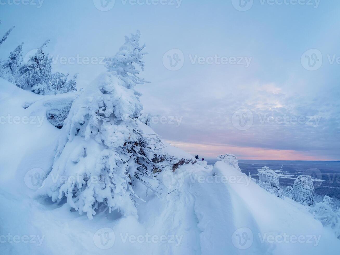 dawn magical bizarre silhouette of trees and stones are plastered with snow. photo