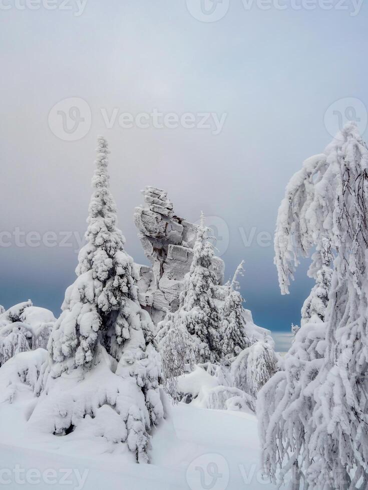 Big granite rock is frozen and covered with snow. Vertical view photo